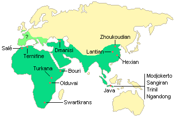 map_of_erectus_sites.gif