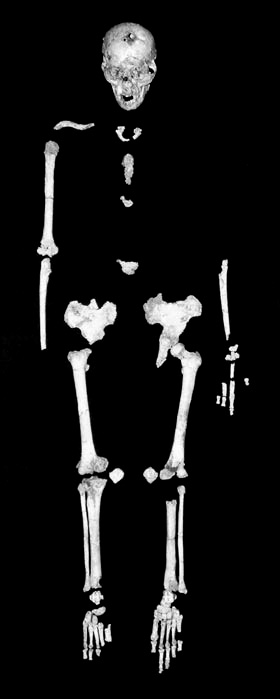 homo-floresiensis-squelette.jpg